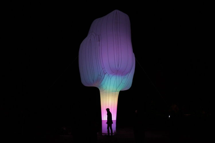 Orchard Installation